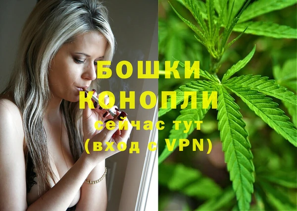 PSILOCYBIN Алексин