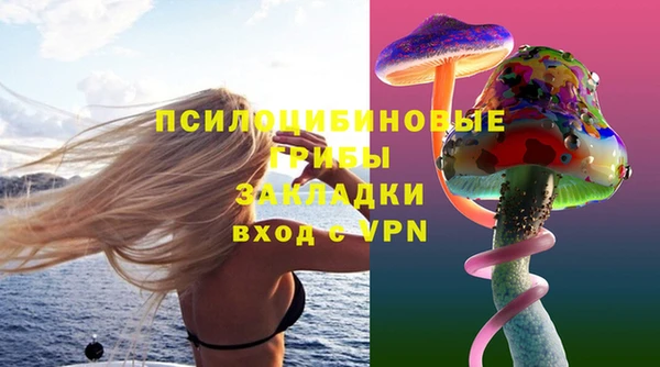 PSILOCYBIN Алексин